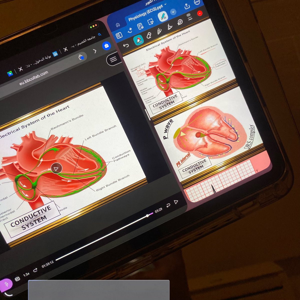 رَهَـف tweet media