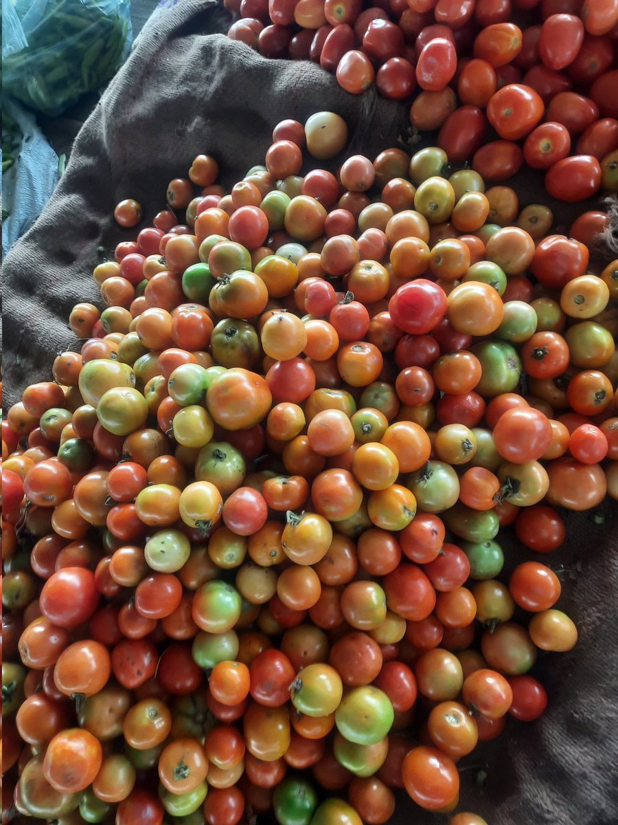 vegetables price is kinda skyrocketing