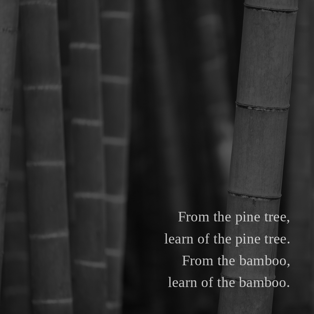 wectar's tweet image. From the pine tree, learn of the pine tree. From the bamboo, learn of the bamboo.

#existentialism #reflective #innerpeace #mindfulthinking