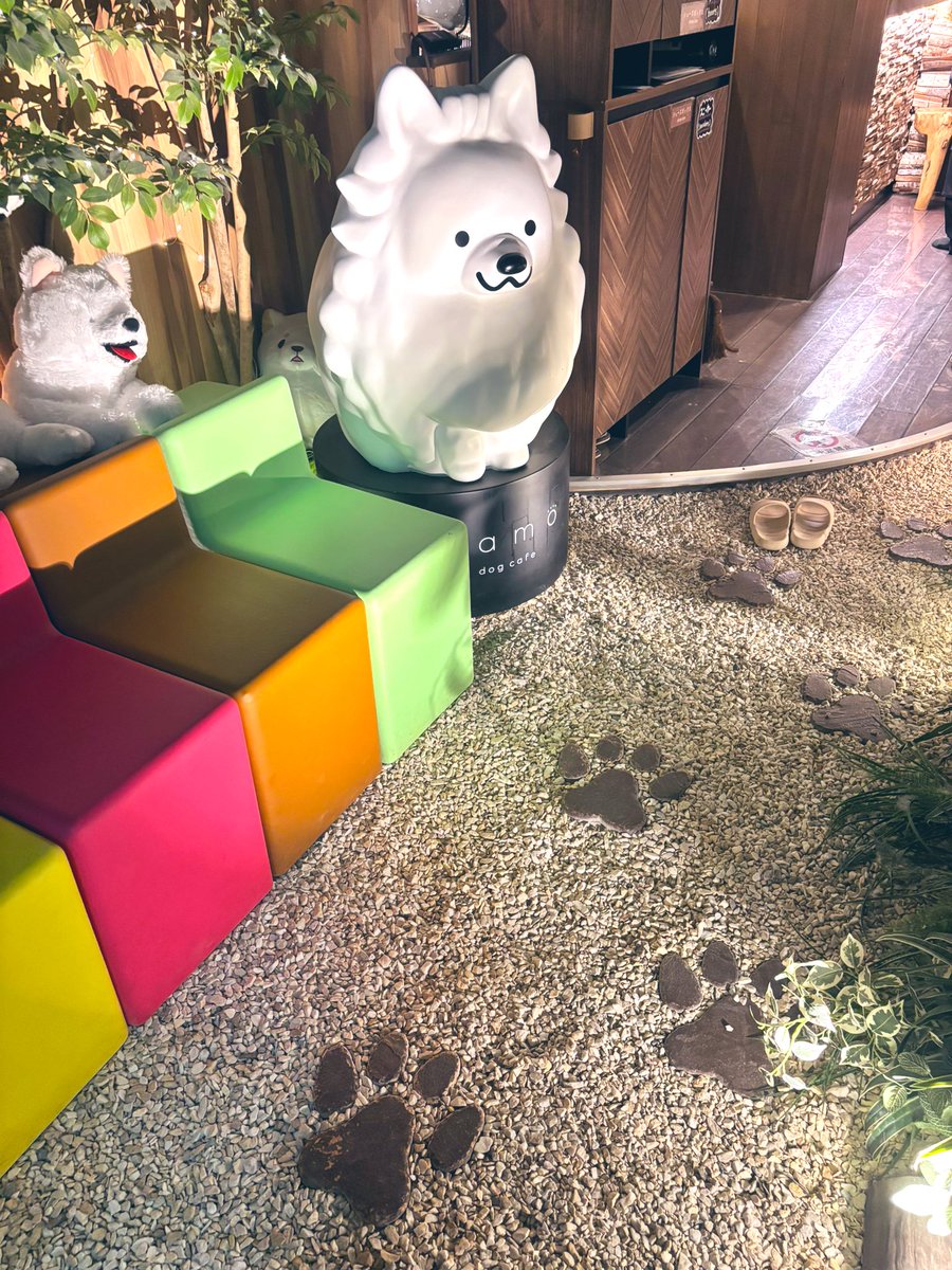 GozenSuzz's tweet photo. 9月誕生日だったので自分を甘やかして
サモエドカフェへ行ってきました🐾

たまには毛の生えた生き物からの
癒しを吸い込みたい(ᐡ ᐧ ﻌ ᐧ ᐡ)

モフモフでデカくて可愛かった🐾 https://t.co/obv0uAijO7