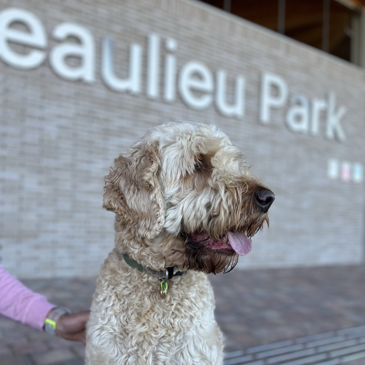 Chelmsford City Council tweet media