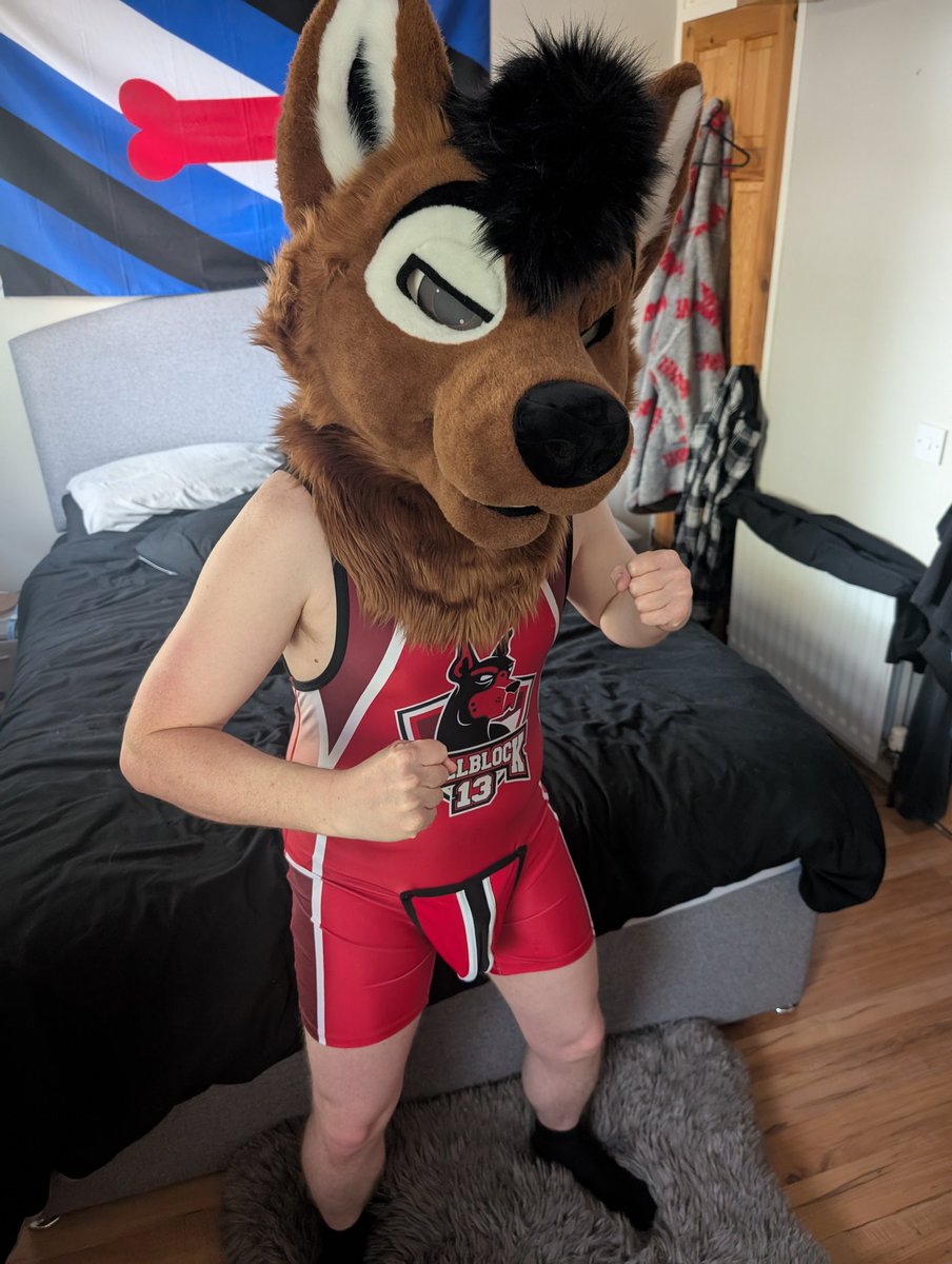 Choose your fighters

SHEPHERD vs WOLFIE

WHO WILL WIN. YOU DECIDE!

<a href="/Starfirewolfie/">Starfire AKA Smol Doggo</a>