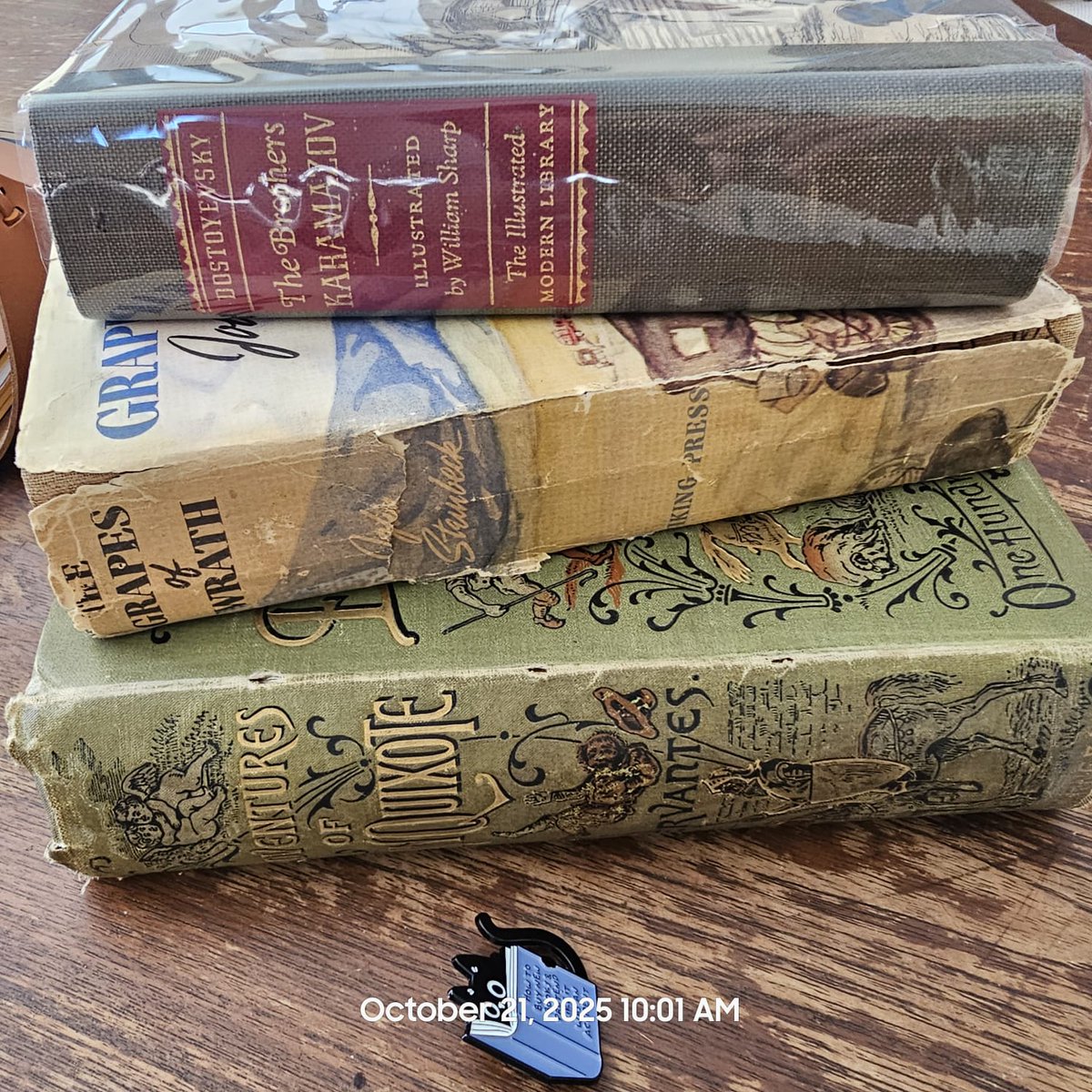 unsolved_riddle's tweet image. four books I&apos;m dying to read #booktwt
*east of eden 
*bumi manusia 
*don quixote, the charles jarvis translation, a delightfully formidable read for the intrepid bibliophile
*the brothers karamazov fyodor dostoyevsky constance garnett