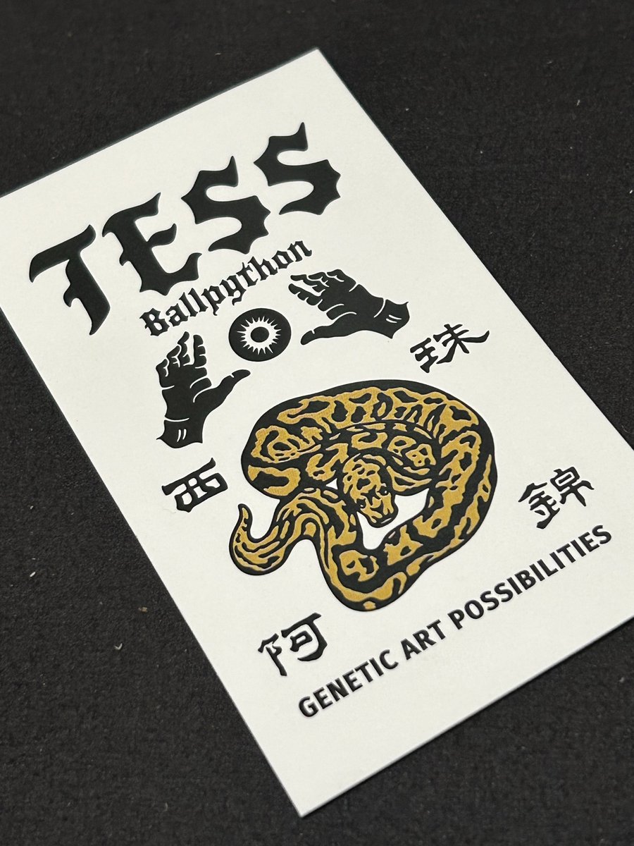 PacReptiles's tweet image. アニマルシェ、近いので見に行っただけなんですけど…🤔
気が付けばTESS Ballpythonさんのボールをお迎えしてました😅
BP SN het クラウン 66het ラベンダー♀