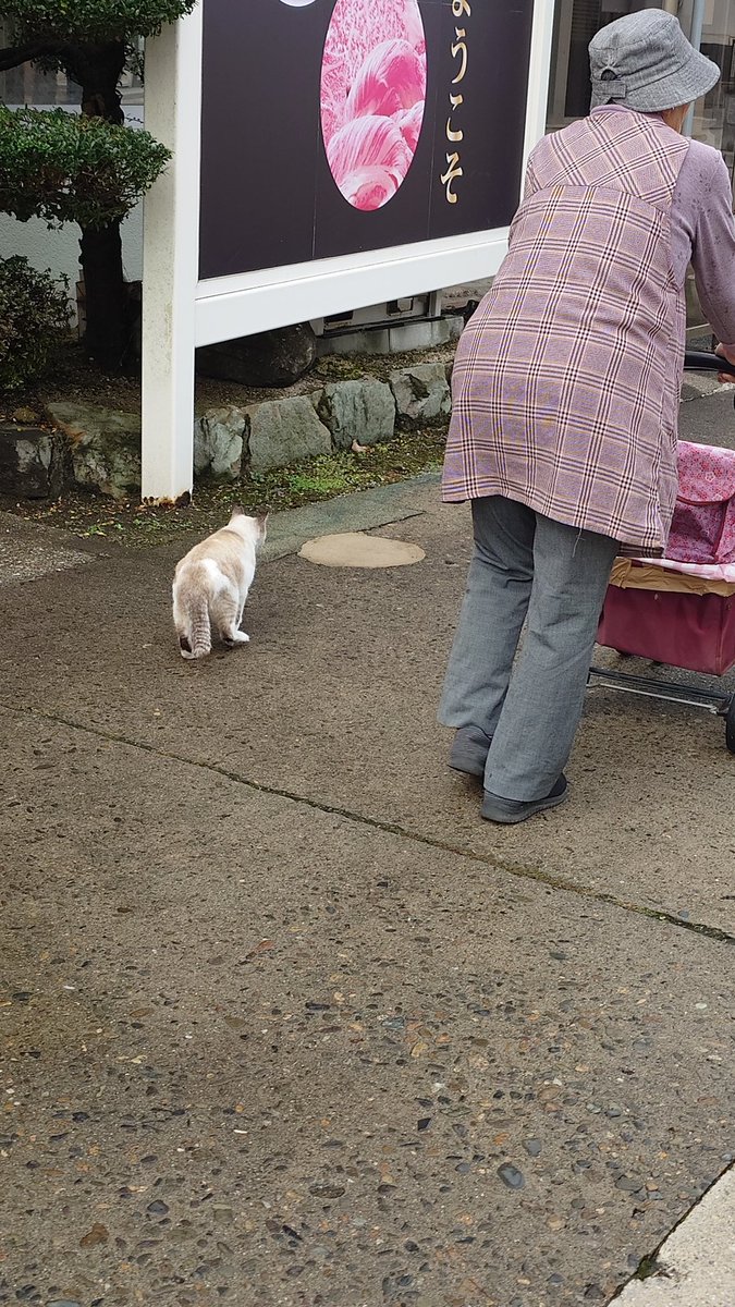 坂上田村麻呂 (@tamuramaro_758) / Posts / X