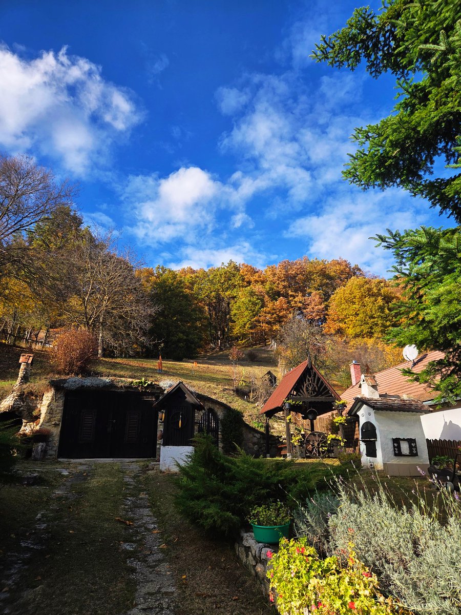 patricia_cseh's tweet image. Autumn wonderland 🍁🤍

秋のワンダーランド 🫶🍂