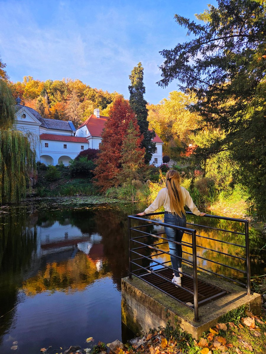 patricia_cseh's tweet image. Autumn wonderland 🍁🤍

秋のワンダーランド 🫶🍂