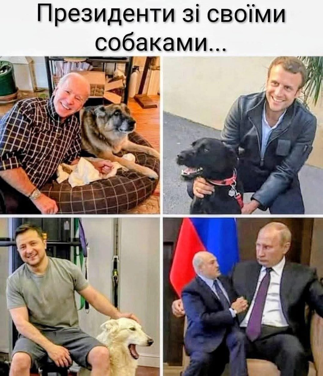 У Xy**лa бульботерьер,лучше всех псин выполняет команды хозяина:лежать,лизать,лаять,сосать.

Отлично выполняет команду "Фас" ,особенно это проявилось 24 .02.2022,когда с Бульбарейха по спящим украинским городам,полетели бомбы и ракеты.А народишко там дрянь,всё видел-знал и молчал