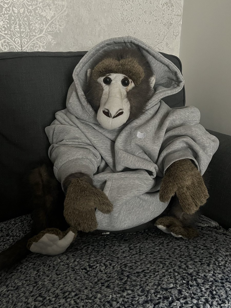 Sunday Monke Chillin’

<a href="/sagamonkes/">saga monkes</a>