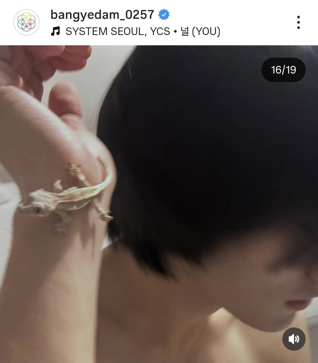 junypearl's tweet photo. wait... so yedam REALLY is raising a crested gecko?? 😲 https://t.co/RnOVDflscA