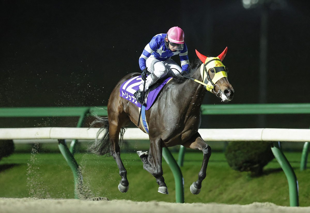 【中古】30years Iwate Keiga 岩手県競馬組合30周年記念誌 中古】30years Iwate Keiga 岩手県競馬組合30周年記念誌