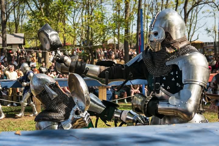 ささっと流して見てたけど、よくよく見たらフライパンファイトだった😅
#アーマードバトル
#buhurt