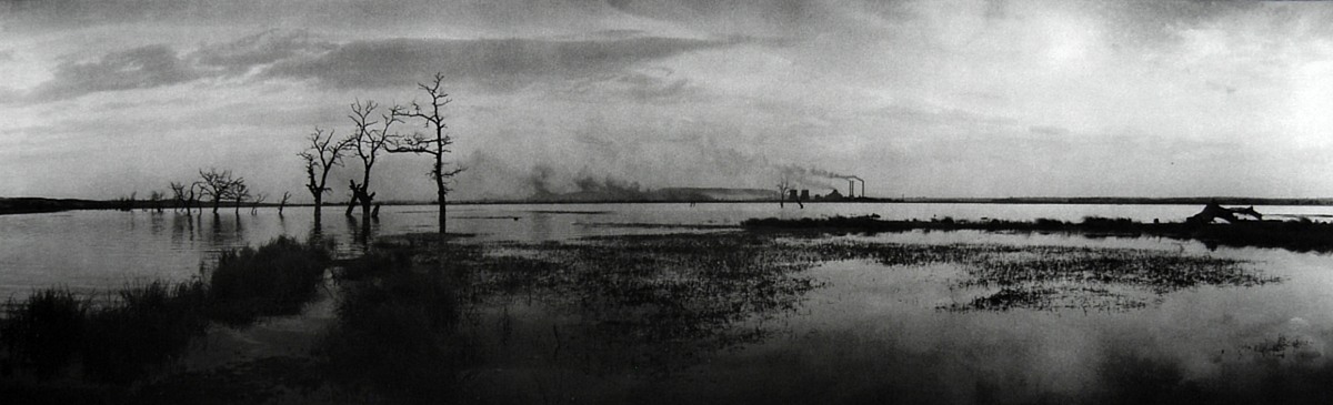 hraba_z Taky nasi predkove  [Josef Sudek, Smutna krajina]