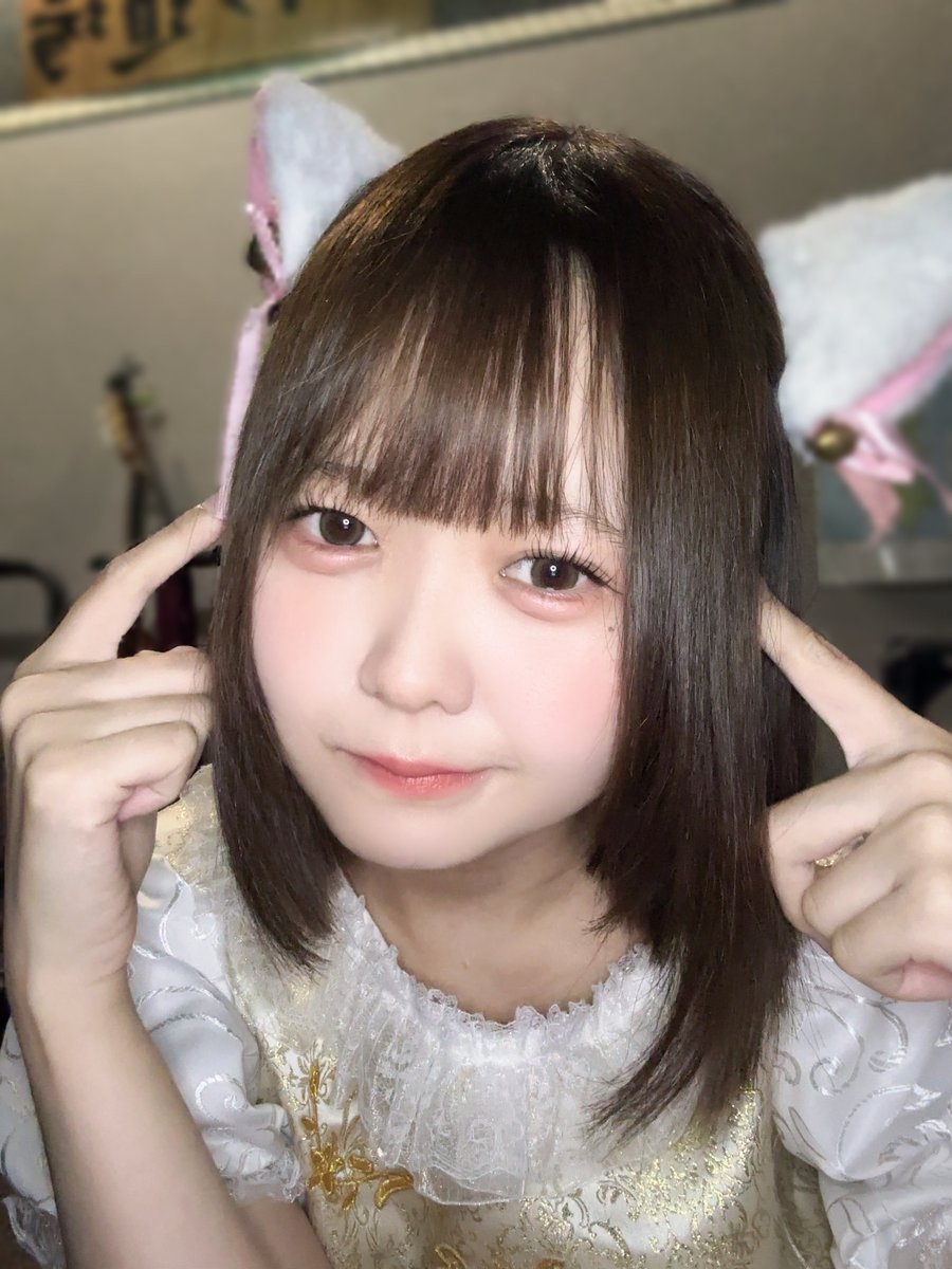 本日は神尾みおソロ出演ありがとうございましたー🎤🧡 みおちゃんやり切ったよたくさんほめてねー🧚‍♀️
今日会えた人みんな優しくて温かくて安心した、猫耳つけてみたけどどうかな〜( ̳- ·̫ - ̳ˆ )??
次は11/16(日)わんらいむで名古屋ライブ❣️久々の2人たのしみ❣️