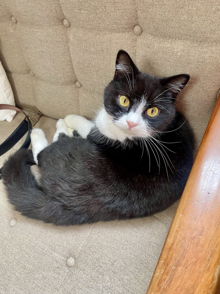 たらう たろう (@taro20216) / Posts / X