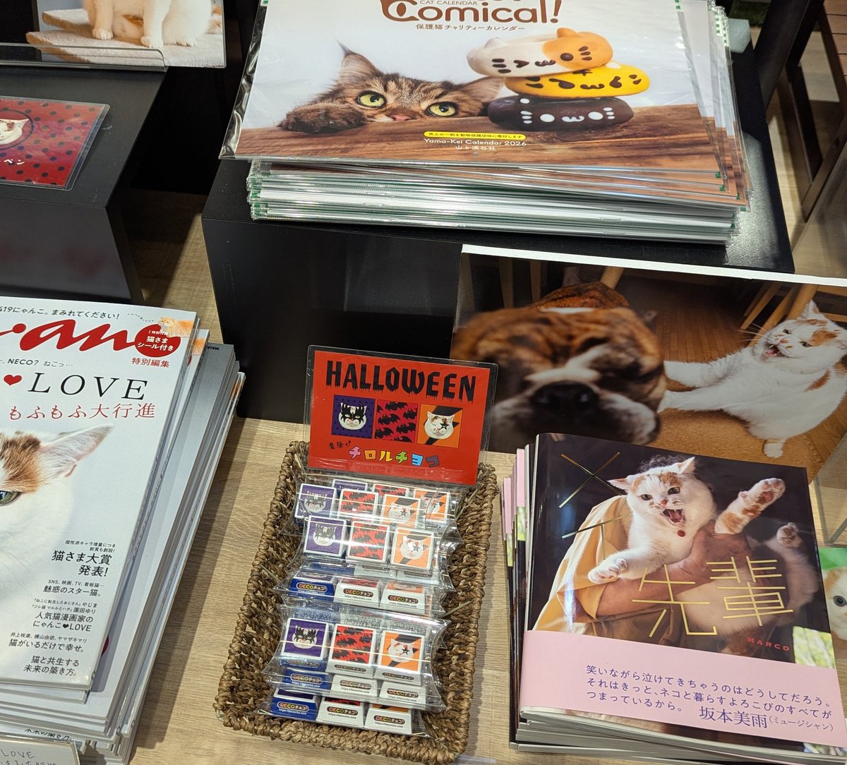 MARCO 🟡写真集「メイ先輩」🟡 (@marco74444) / Posts / X