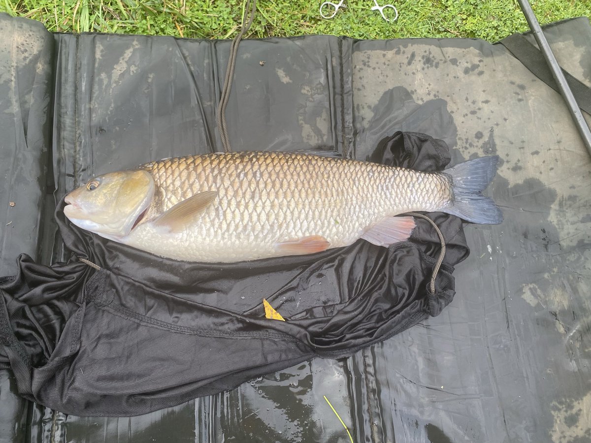 Stuart Ling tweet media