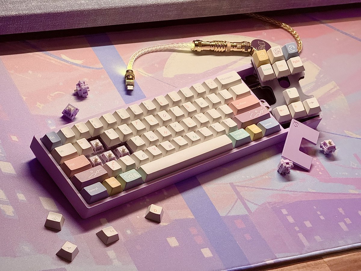 🌃Sleepwalking🌃🚶‍♀️👣
Keyboard:neo70
Switch: HMX TARO BALL LINEAR SWITCH
Keycap: FBB GOOD NIGHT
#KEEB_PD #KEEB_PD_R273