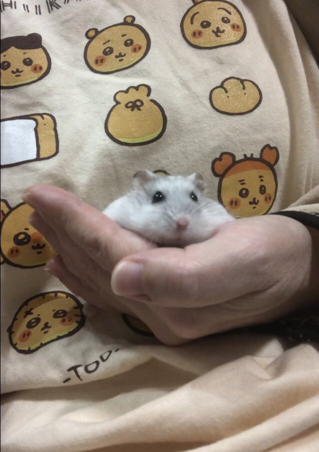 けぇこ🍆 (@36_1970) / Posts / X