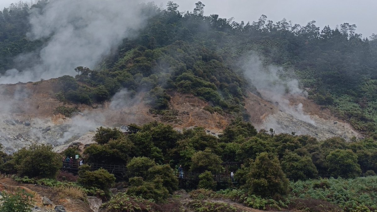 al ۫ ꣑ৎ tweet media