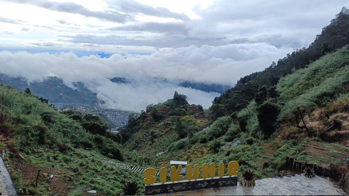 al ۫ ꣑ৎ tweet media