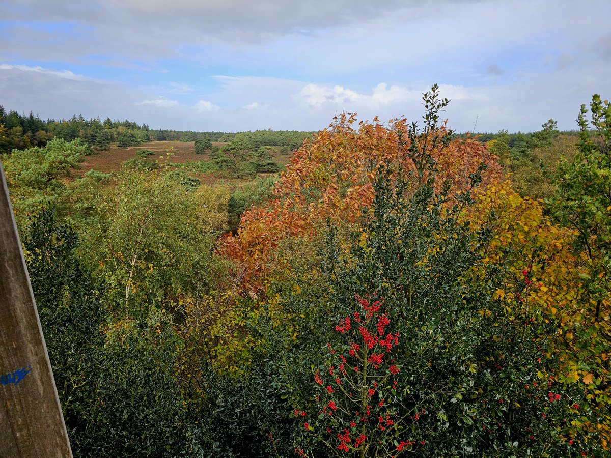 Echt prachtig de herfst 🤩🍂
