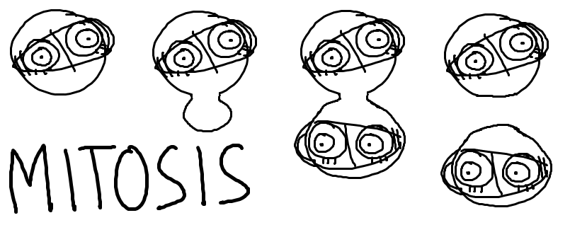 transecco's tweet photo. mi culo asexual usando la Mitosis para propagar el sida https://t.co/ohNS8fvO2z https://t.co/sEOmfgxJhz