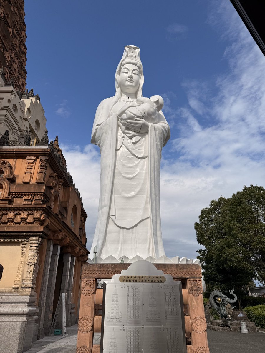 mayu🐾 (@mayu_punk) / Posts / X