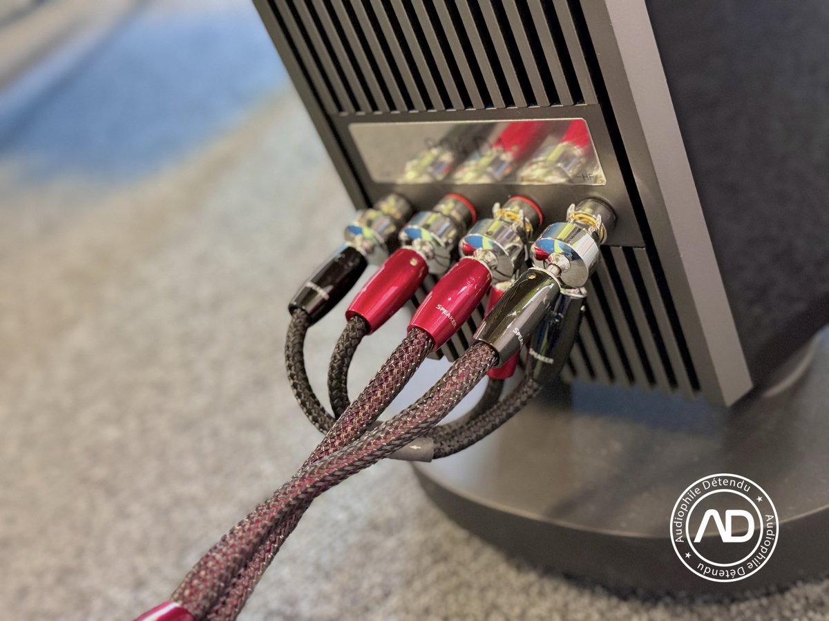 Paris Audio Vidéos Show 2025 épisode 2

#audiophile #hifi #audio #PAVS #PAVS2025 

youtu.be/h69JR-hr_Zs