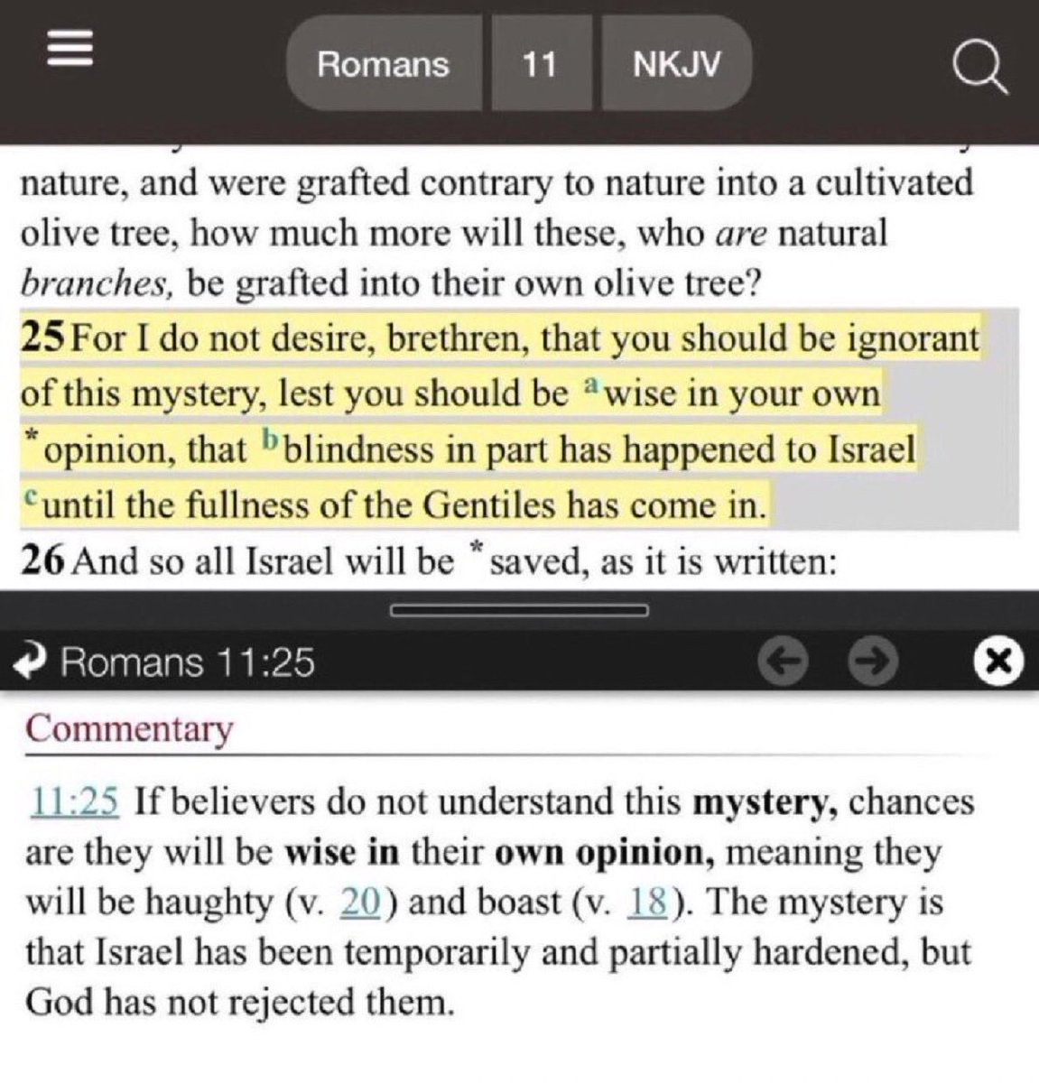 chris_jolliff's tweet image. When Jesus was being crucified, He cried out:
“Father forgive them, for they know not what they do”
And yet this is what you take from His example?
support for Israel ≠ acceptance of their current beliefs 
I simply choose not to “boast against the branches” Rom 11:18 (as…
