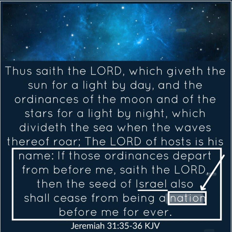 chris_jolliff's tweet image. When Jesus was being crucified, He cried out:
“Father forgive them, for they know not what they do”
And yet this is what you take from His example?
support for Israel ≠ acceptance of their current beliefs 
I simply choose not to “boast against the branches” Rom 11:18 (as…