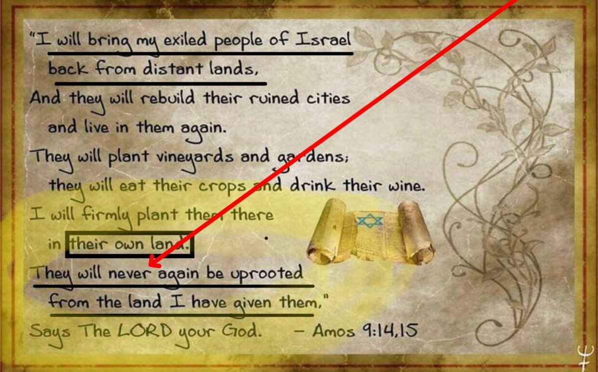 chris_jolliff's tweet image. When Jesus was being crucified, He cried out:
“Father forgive them, for they know not what they do”
And yet this is what you take from His example?
support for Israel ≠ acceptance of their current beliefs 
I simply choose not to “boast against the branches” Rom 11:18 (as…