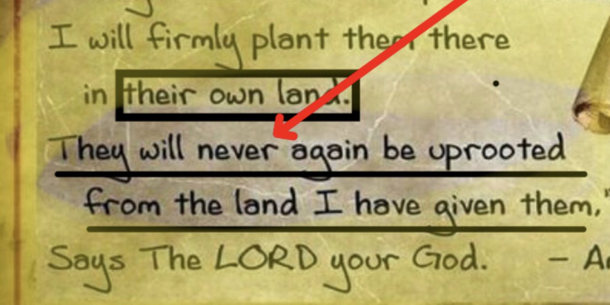 chris_jolliff's tweet image. When Jesus was being crucified, He cried out:
“Father forgive them, for they know not what they do”
And yet this is what you take from His example?
support for Israel ≠ acceptance of their current beliefs 
I simply choose not to “boast against the branches” Rom 11:18 (as…