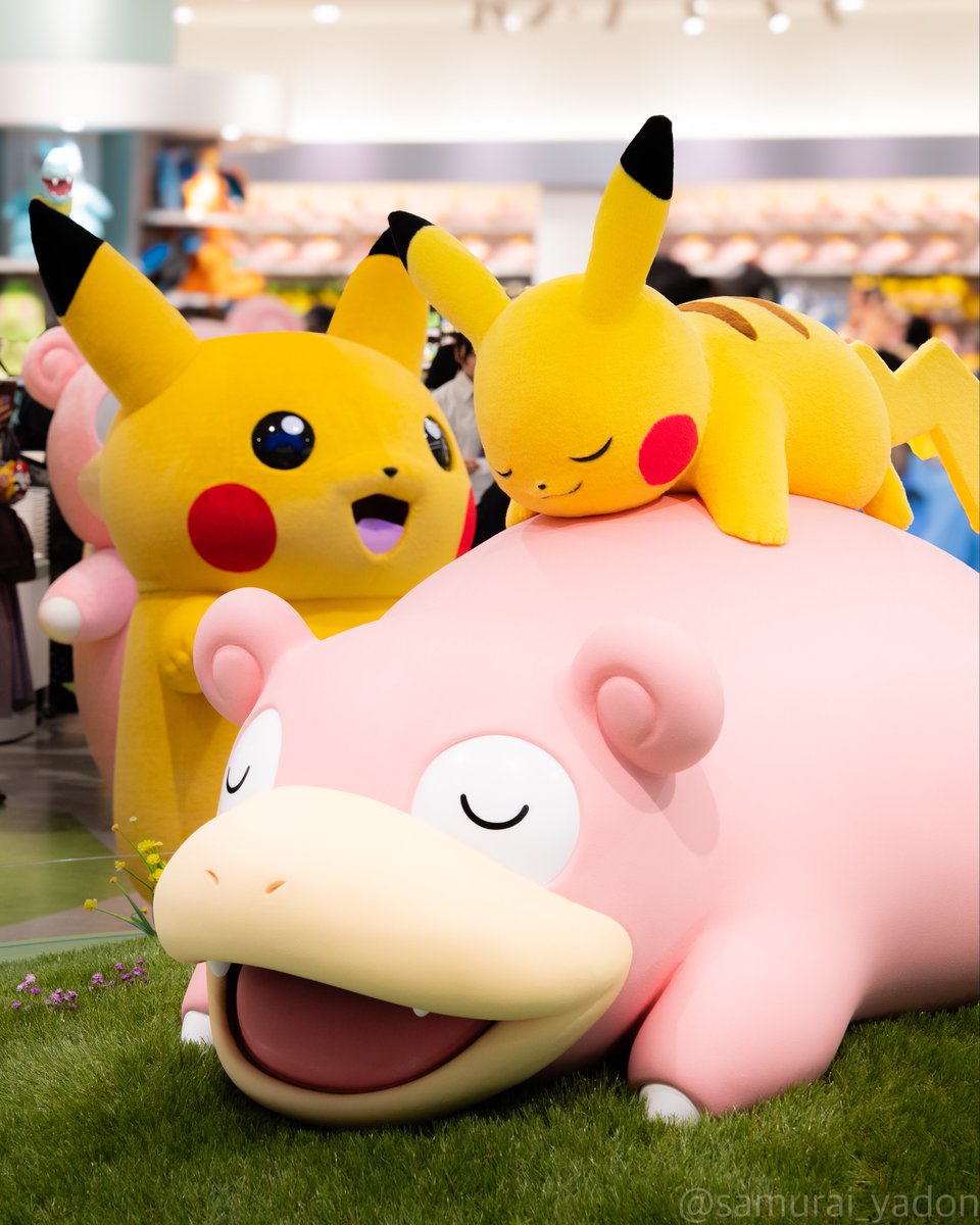 動くヤドンとピカチュウをみつめて 嬉しそうなピカチュウとヤドンやぁ