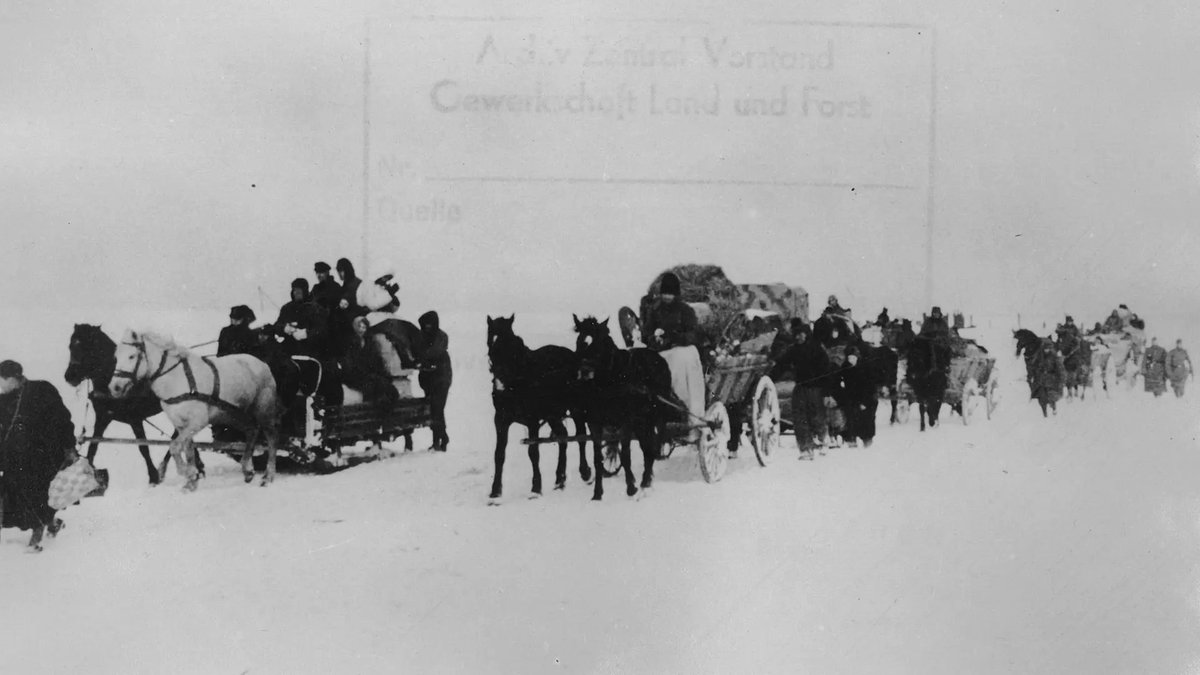 morpinion. mir doch stulle. 🥪 tweet media