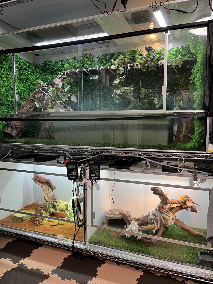 ken　龍匠ケージ 龍匠オリジナルオーダーケージ®︎ on X