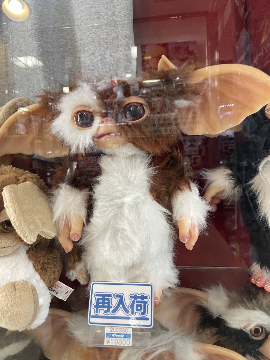 kimiko様 81LVjC1TNOL._AC_UF350,