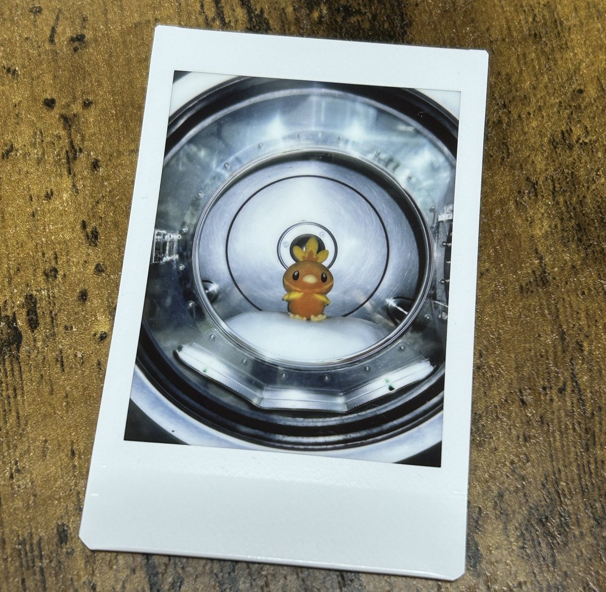 ちょっと前自分の不注意でお気に入りのアチャモのぬいぐるみ汚してしまってネットで洗濯.comさんにクリーニングしてもらったのが今日返送されてきたんだけど、クリーナー購入特典で洗われたアチャモinドデカドラム洗濯機or乾燥機のチェキ付いてきて神かと思った