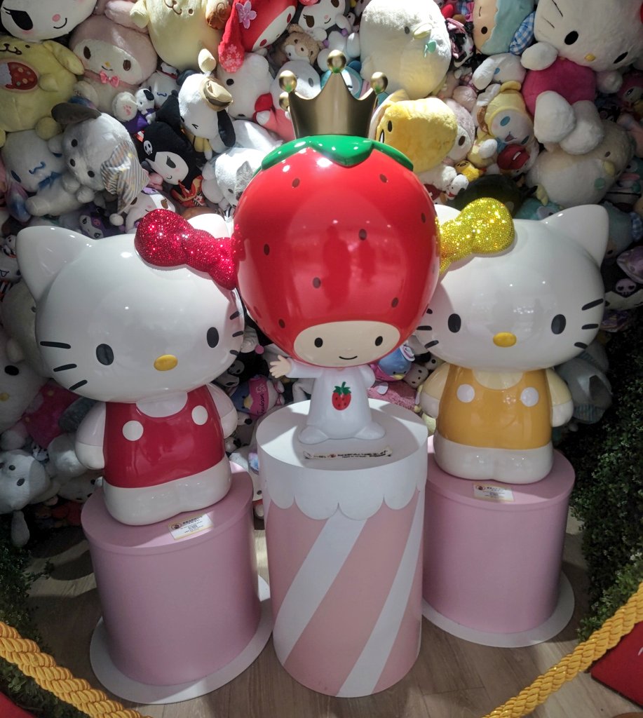 ♡❤︎♡ kitty ♡❤︎♡プロフ必須 誓ちゃん: 新しい掃除機が届いたニャ💕ฅ(Ф∀Ф)ฅ Chikai-chan