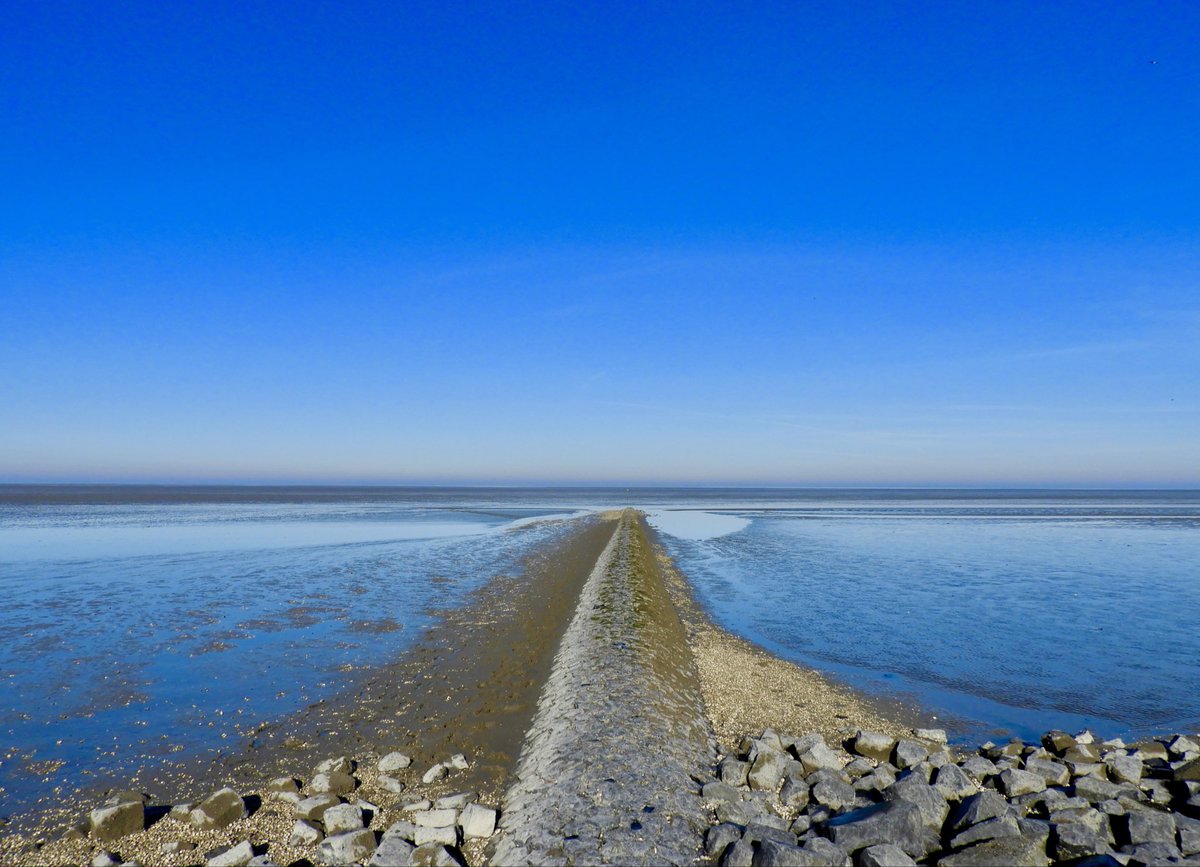 Vandaag een thema waarbij vaak de mooiste en de meest ontroerende plaatjes voorbijkomen. We kunnen er dan in #stilte van genieten en bewonderen.
Ik wens jullie allen een hele mooie zondag en veel plezier bij #fot_O_ktober 🙋‍♀️
Een initiatief van <a href="/jolandabrwr/">JoLaNDa_hobbyfotograaf</a>