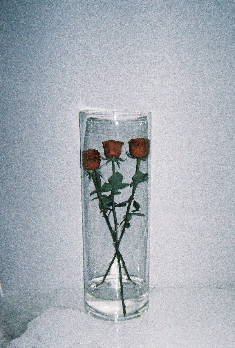 Aristasy tweet media