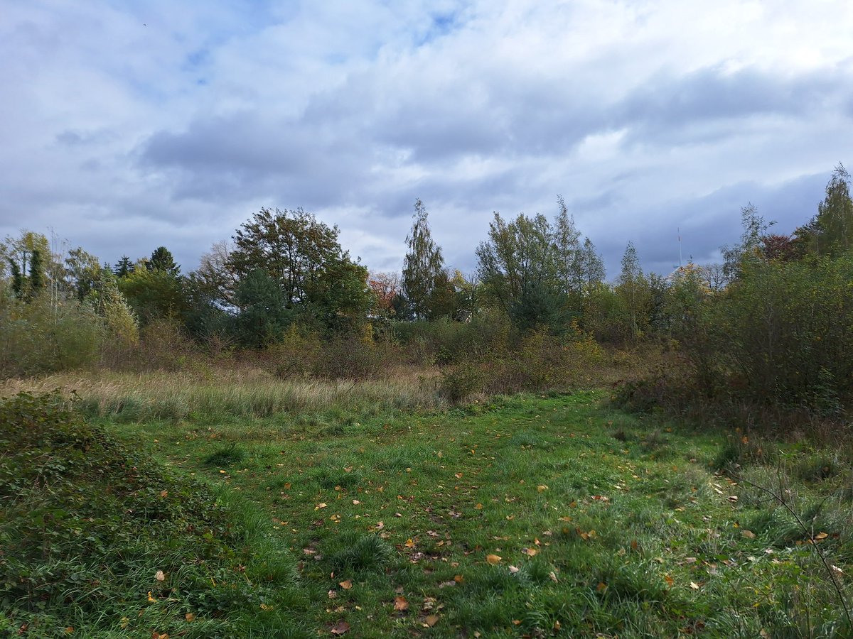 Susanne Verberk tweet media