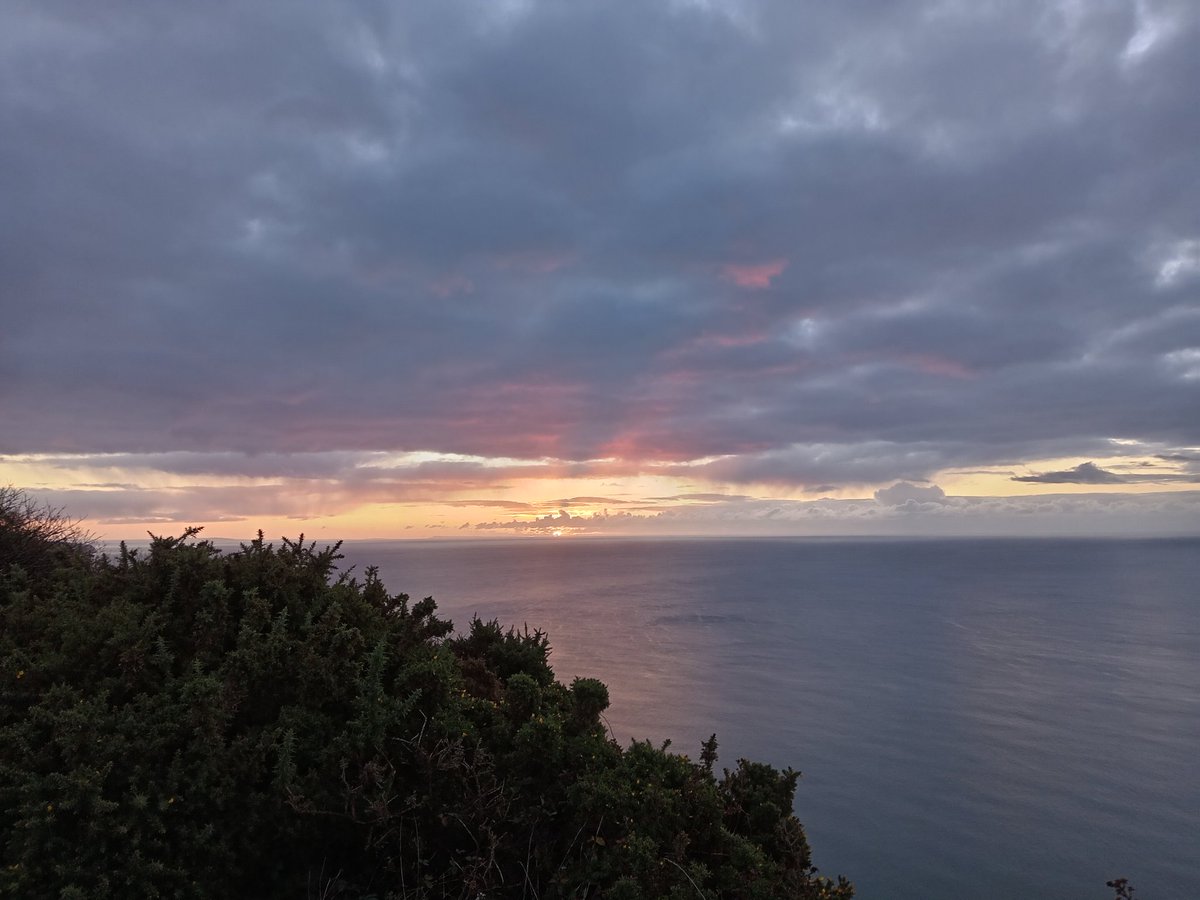 Peak Hill vismig good. 17400 woodpigeon, 1740 Chaffinch, 216 Siskin, 23 Redpoll, 5 Brambling, 55 Goldfinch, 10 Goldfinch, 15 Crossbill 79 Skylark, 90 Starling. Thought there might have been more pigeons