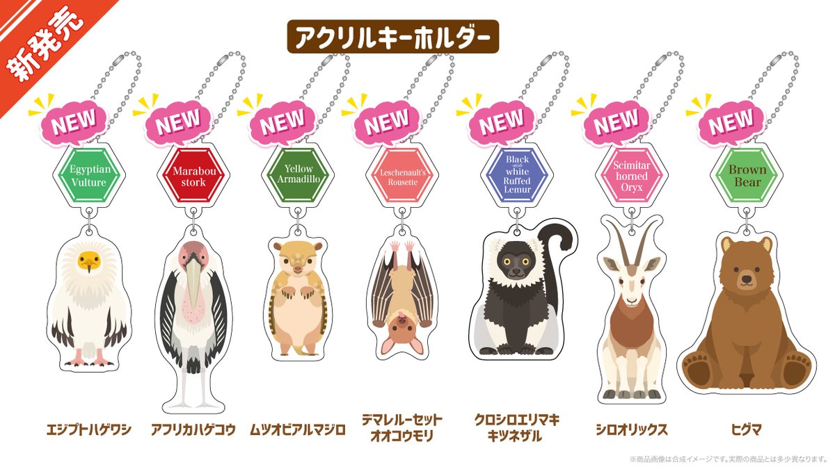 笑う動物たち Zoomies(ズーミーズ) on X