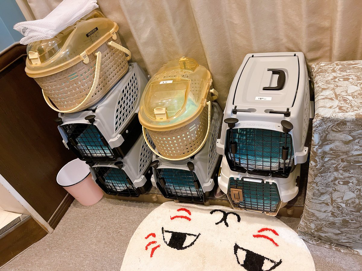 片付けして明日の準備とかしてたりしてる。

秋のワクチン祭り第2弾です（笑）