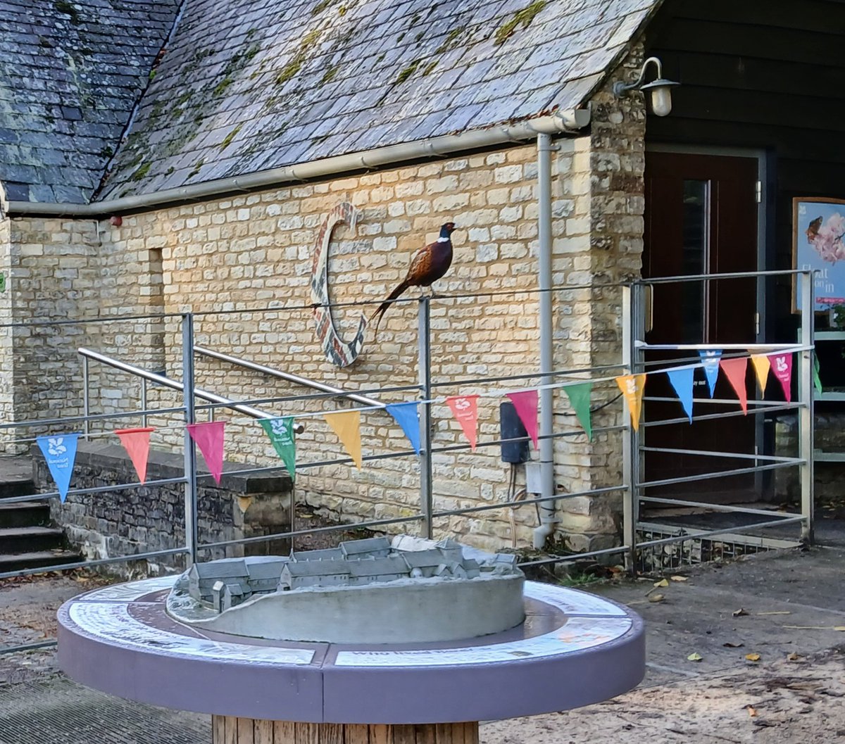 When you're looking everywhere for the letter C... except right behind you 🤦‍♂️

Our resident pheasant is clearly not the best detective. Can your family do better? Find all 15 Cs this half term and help us value the Villa.

#HalfTerm #HalfTermActivities #HalfTermFun