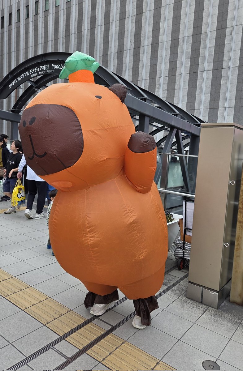 まつぼっくり (@matsubokkuri11) / Posts / X