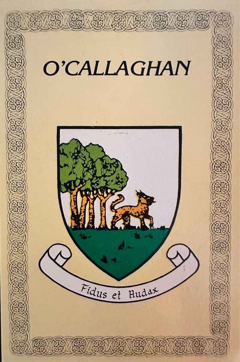 GoodStewardNews's tweet photo. Three cousins from my mother’s side of the family and I have been working on collecting memories of our extended family. With “Callaghan Chronicles,” we hope to reconnect for the first time since our grandparents, Anna May and Bill Callaghan, passed away more than 60 years ago. https://t.co/rpYIhpi0tl