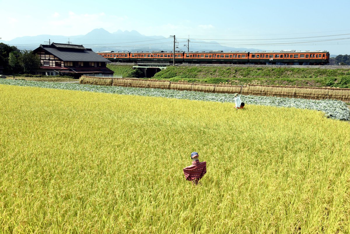 第二次世界大戦　記念写真　中華東南地域 東西南北、 (@touzainishi) / Posts / X