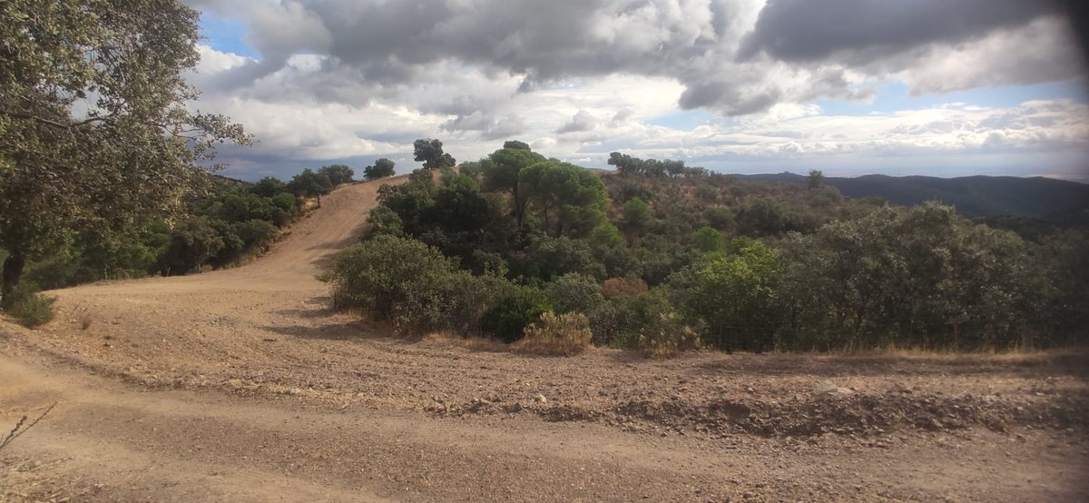 Cortadero cordobés.